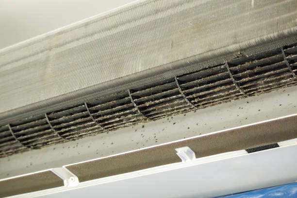 Best Commercial Air Duct Cleaning  in Adelphi, MD