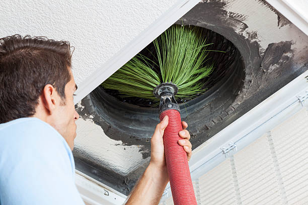 Best Affordable Duct Cleaning Services  in Adelphi, MD
