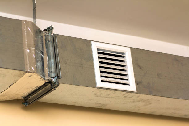 Best Air Duct Mold Removal  in Adelphi, MD